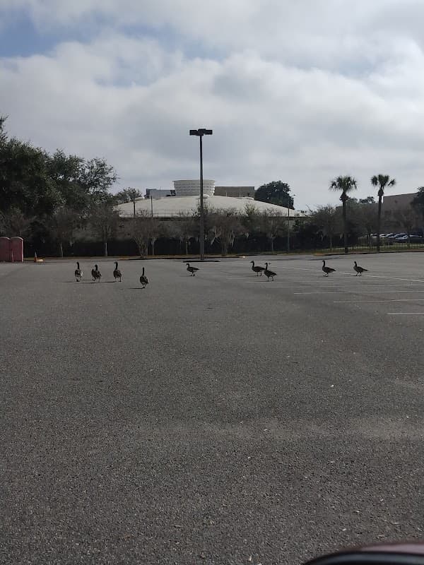 Florida State College at Jacksonville - Image 1