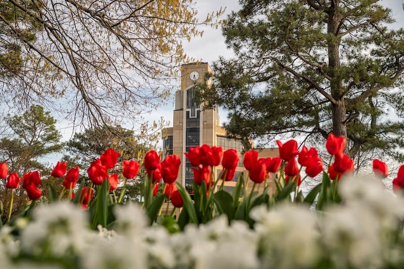 Arkansas State University - Image 1
