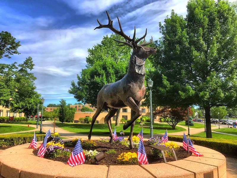 Fairfield University - Image 1