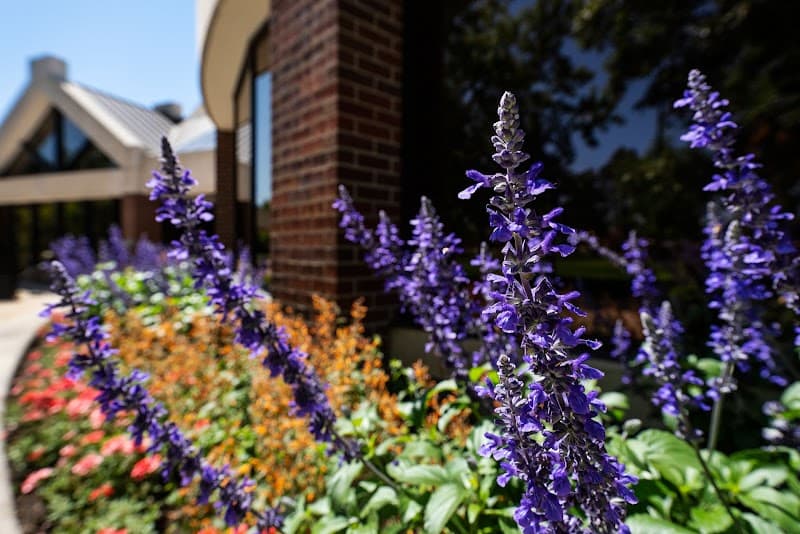 Colorado College - Image 1