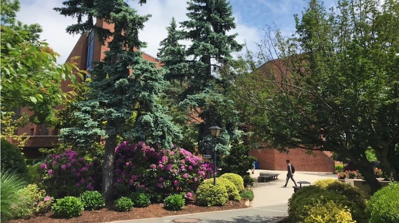 Adelphi University - Image 1