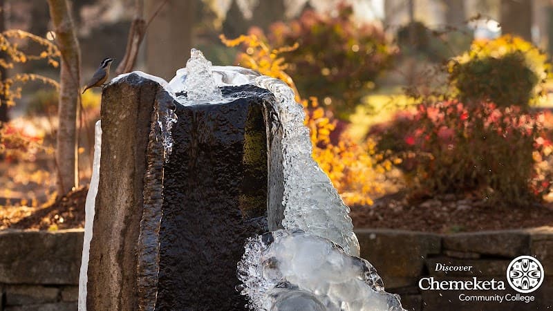 Chemeketa Community College - Image 1