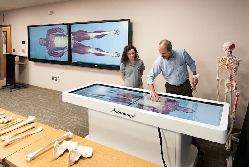 Franciscan Missionaries of Our Lady University - Image 1