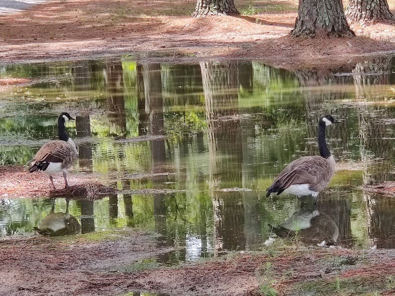 Fayetteville Technical Community College - Image 1